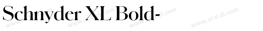 Schnyder XL Bold字体转换 Schnyder XL Bold字体转换